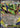 Mega Rayquaza ex 058/076 Double Rare M6: Storm Emeralda Pokemon Japanese Holo