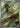 Chespin 084/083 Art Rare Ninja Spinner Pokemon Japanese Holo