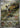 Beautifly 194/193 Art Rare MEGA Dream ex Pokemon Japanese
