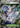 Jamming Tower 261/217 Ultra Rare Ascended Heroes Pokemon