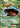 Venusaur EX 1/108 Holo EX Rare Evolutions Pokemon