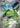 Reuniclus 075/071 Art Rare Wild Force Pokemon Japanese