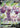 Drapion V 107/100 Super Rare Amazing Volt Tackle Pokemon Japanese