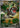 Tyrunt 089/080 Art Rare Nihil Zero Pokemon Japanese