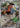 Probopass 076/066 Art Rare Crimson Haze Pokemon Japanese