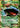Venusaur EX 1/108 Holo EX Rare Evolutions Pokemon