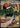 Mega Lucario ex 033 Holo Promo ME: Mega Evolution Promo Pokemon