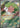 Shaymin 066/063 Art Rare Heat Wave Arena Pokemon Japanese