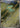 Electrike 073/063 Art Rare Heat Wave Arena Pokemon Japanese