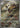 Beautifly 194/193 Art Rare MEGA Dream ex Pokemon Japanese