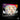 Meowth VMAX Special Collection