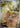 Yamper 086/080 Art Rare Inferno X Pokemon Japanese