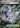 Jamming Tower 261/217 Ultra Rare Ascended Heroes Pokemon