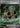 Custom Vest 099/076 Super Rare M6: Storm Emeralda Pokemon Japanese Holo