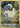 Mareep GG34/GG70 Holo Trainer Gallery Rare Crown Zenith Galarian Gallery Pokemon