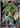 Snivy 013/030 30th Anniversary Celebration Pokemon Chinese