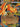 Mega Emboar ex 035 Holo Promo ME: Mega Evolution Promo Pokemon