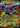 Mega Heracross ex 004/094 Double Rare Phantasmal Flames Pokemon Holo