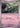 Golett 042/086 Common SV: Black Bolt Pokemon