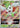 Shaymin VSTAR 014/172 Holo VSTAR Rare Brilliant Stars Pokemon Holo