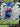 Butterfree V 001/189 Holo V Rare Darkness Ablaze Pokemon