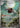 Ninjask 065/063 Art Rare Mega Symphonia Pokemon Japanese
