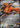 Talonflame ex 062/076 Double Rare M6: Storm Emeralda Pokemon Japanese Holo