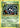Tangela 8/108 Common Evolutions Pokemon