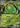 Sinistcha ex 020/208 Stellar Crystal Pokemon Chinese