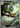 Vibrava 071/064 Art Rare Paradise Dragona Pokemon Japanese Holo