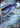 Dondozo ex 063 RR Chasing Glory Together Pokemon Chinese