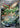 Flygon 088/080 Art Rare Inferno X Pokemon Japanese Holo
