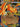Mega Emboar ex 035 Holo Promo ME: Mega Evolution Promo Pokemon