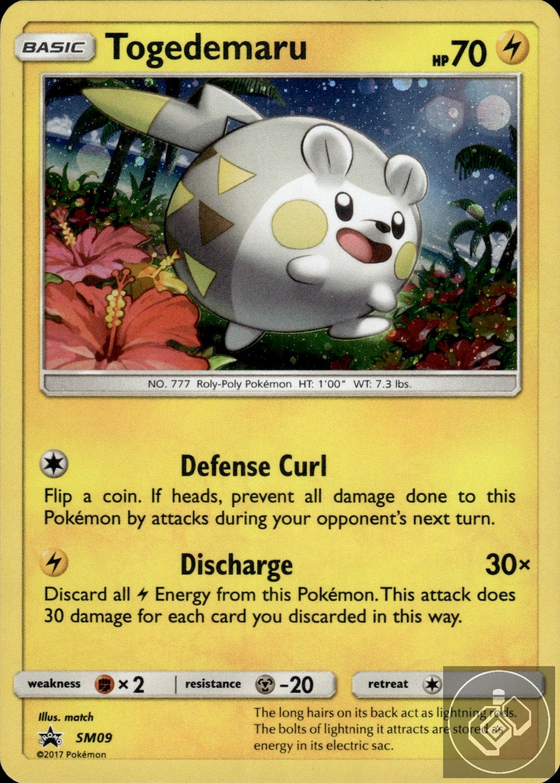 Togedemaru - SM09 Holo Promo Sun & Moon Promo Pokemon Holo