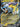 Raikou ex 024/076 Double Rare M6: Storm Emeralda Pokemon Japanese Holo