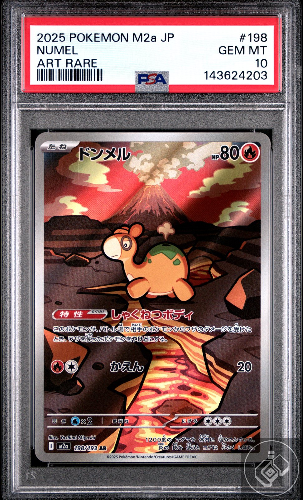 Numel 198 Art Rare M2a-mega Dream EX Pokemon Japanese PSA 10