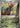 Mabosstiff 088/078 Art Rare Violet ex Pokemon Japanese