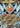 Rotom ex 029/094 Double Rare Phantasmal Flames Pokemon Holo