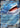 Wailord ex 016/084 Double Rare Pitch Black Pokemon Holo