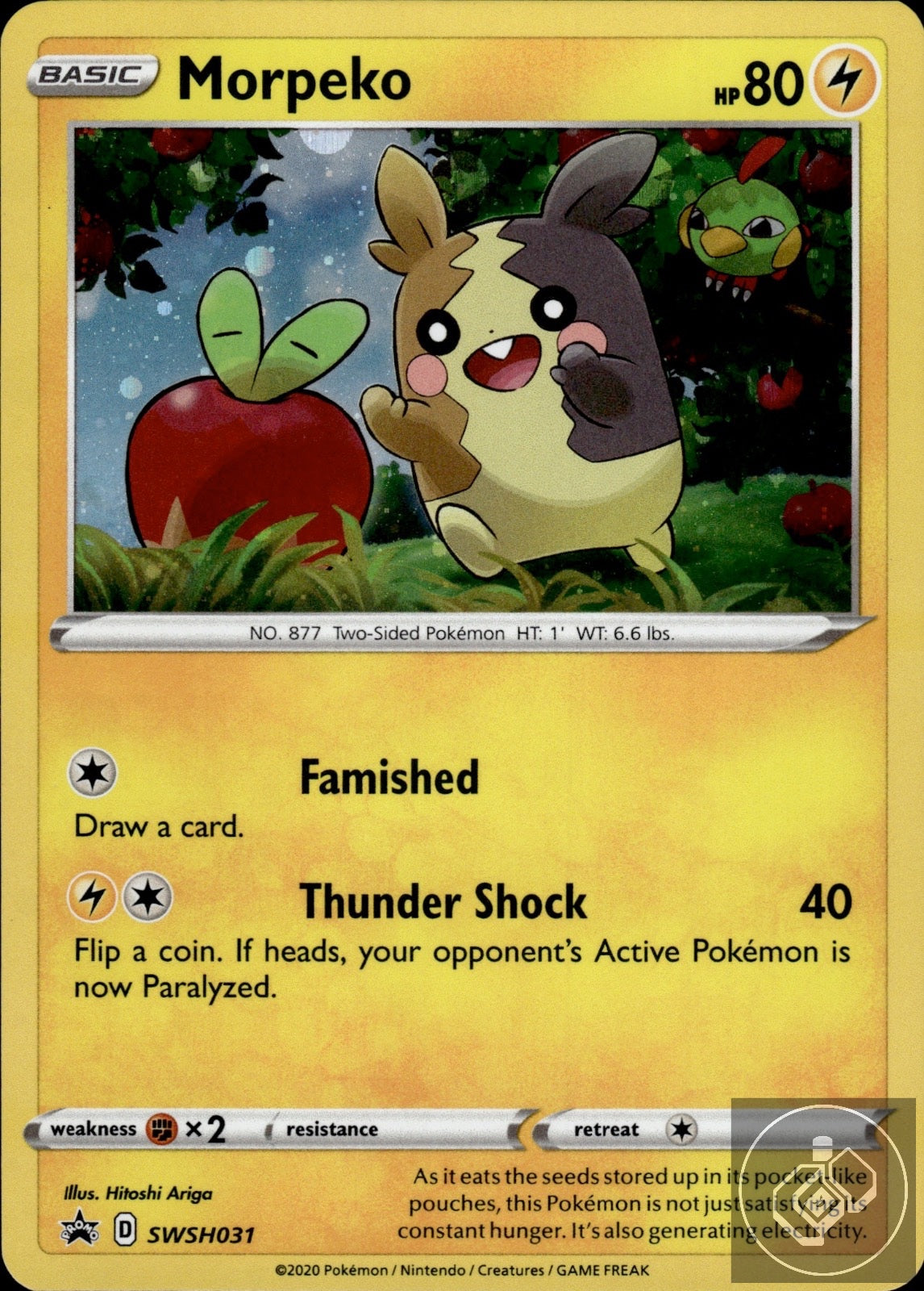 Morpeko SWSH031 Holo Promo Sword & Shield Promo Pokemon