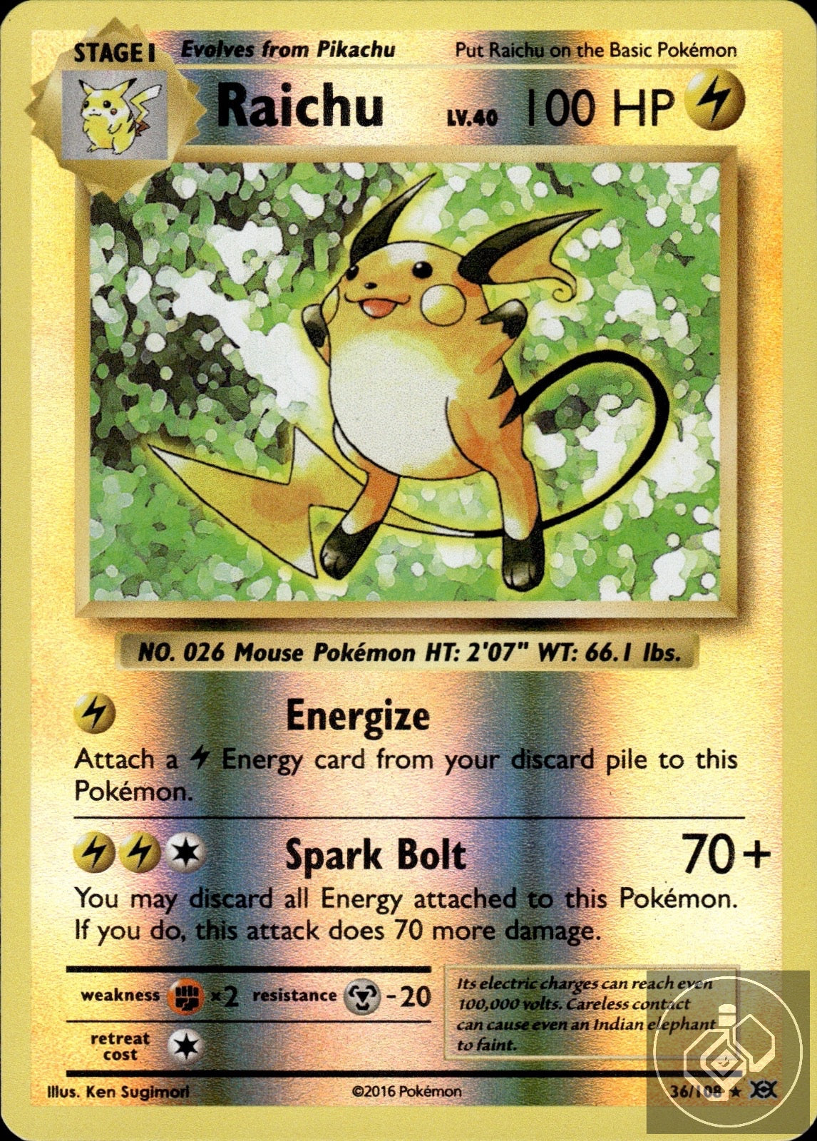 Raichu 36/108 Holo Rare Evolutions Pokemon Reverse Holo