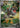 Tyrunt 089/080 Art Rare Nihil Zero Pokemon Japanese Holo
