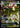 Mega Eelektross ex 266/217 Mega Attack Rare Ascended Heroes Pokemon