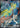 Hop's Zacian ex 247 SR Chasing Glory Together Pokemon Chinese