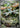 Masquerain 077/076 Art Rare M6: Storm Emeralda Pokemon Japanese Holo