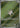 Slakoth 117/106 Art Rare Super Electric Breaker Pokemon Japanese Holo