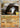 Donphan 107/123 Prime Rare HeartGold & SoulSilver Pokemon