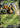 Beedrill ex 003/086 Double Rare Chaos Rising Pokemon