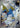 Manectric 086/081 Art Rare Abyss Eye Pokemon Japanese Holo