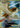 Pidgeot EX 104/108 Ultra Rare Evolutions Pokemon
